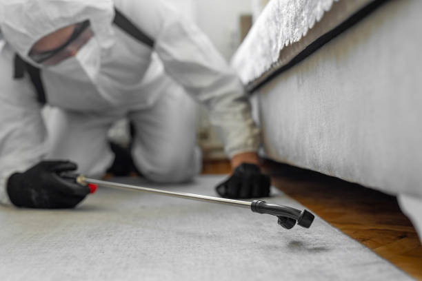 Professional Ant Control technician working in Woodcrest, CA